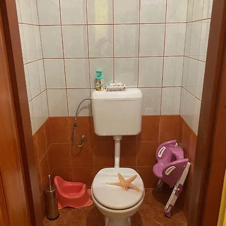 Apartment Erika Vendeghaz *