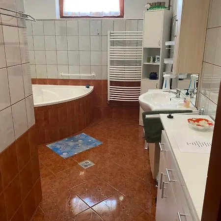 Apartment Erika Vendeghaz *